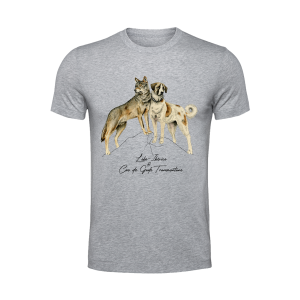 T-shirt "amigos improváveis"